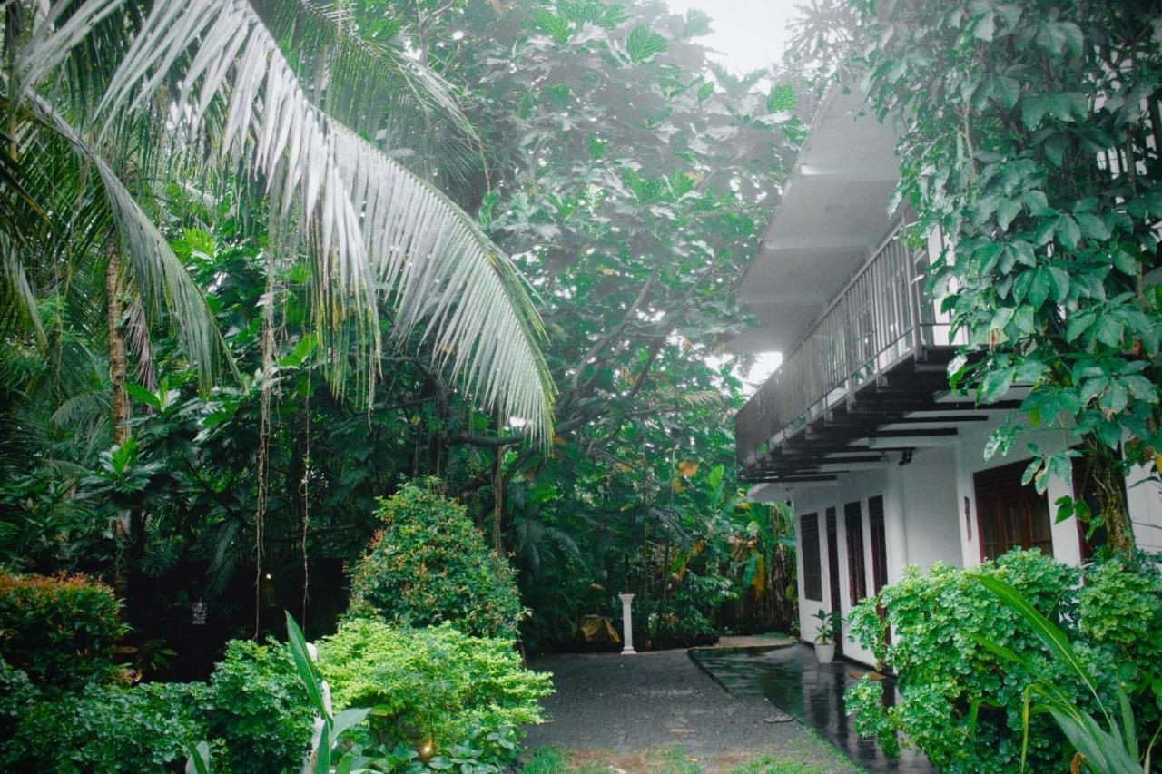 Bananas Mirissa Hotel Buitenkant foto